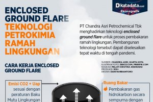 Enclosed Ground Flare